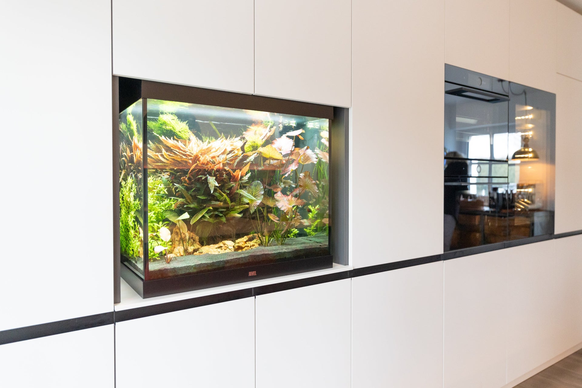 Aquarium Designküche
